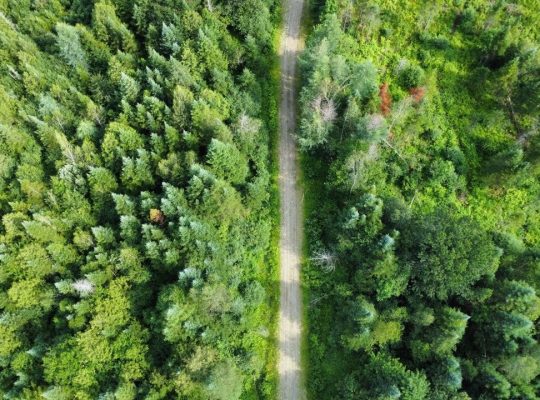 Canton de Westbury (Estrie) : Terre à bois 255 acr