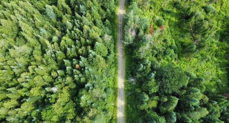 Canton de Westbury (Estrie) : Terre à bois 255 acr