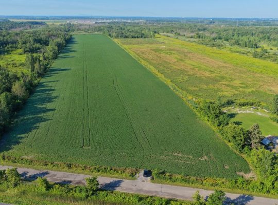 Brossard (Montérégie) : Terre agricole et à bois
