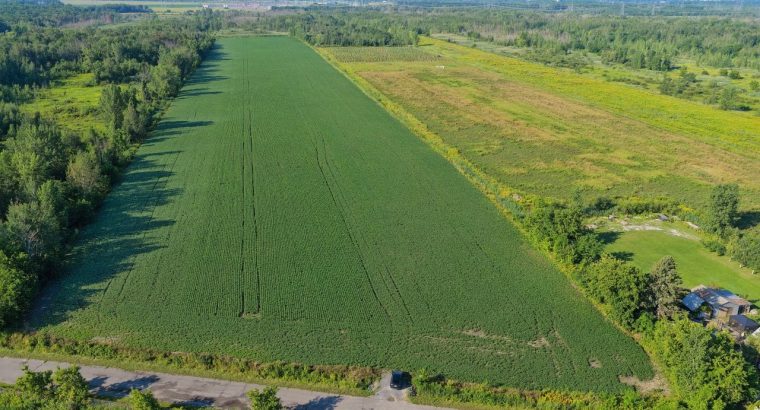 Brossard (Montérégie) : Terre agricole et à bois