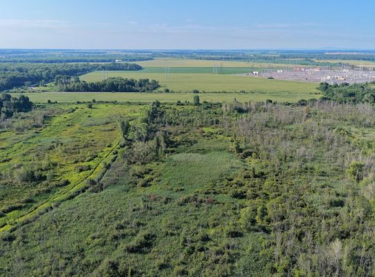 Brossard (Montérégie) : Terre agricole et à bois
