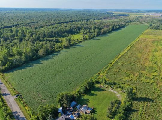 Brossard (Montérégie) : Terre agricole et à bois