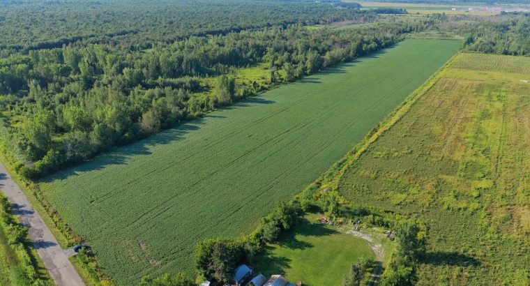 Brossard (Montérégie) : Terre agricole et à bois