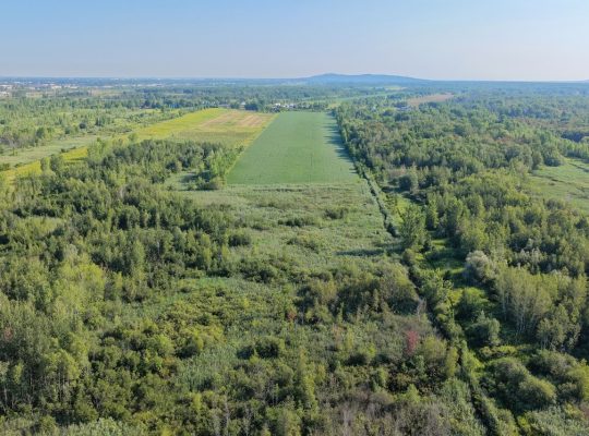 Brossard (Montérégie) : Terre agricole et à bois