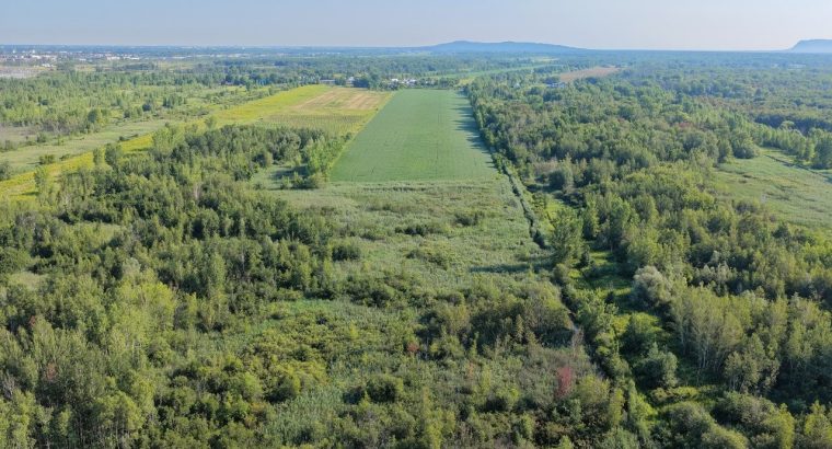Brossard (Montérégie) : Terre agricole et à bois