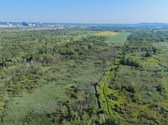 Brossard (Montérégie) : Terre agricole et à bois