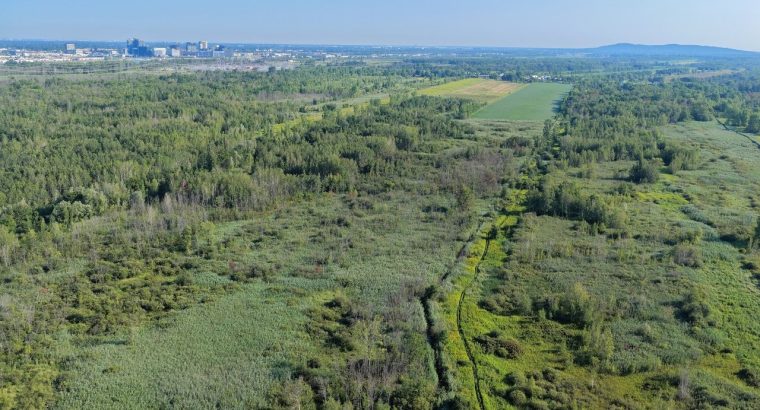 Brossard (Montérégie) : Terre agricole et à bois