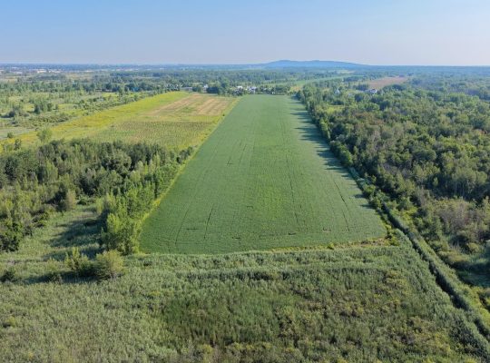 Brossard (Montérégie) : Terre agricole et à bois