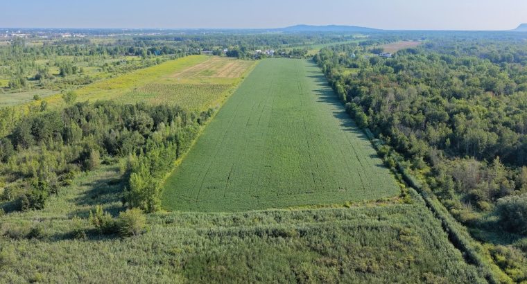 Brossard (Montérégie) : Terre agricole et à bois