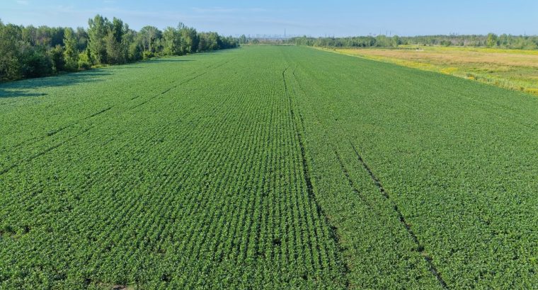 Brossard (Montérégie) : Terre agricole et à bois