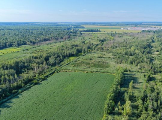 Brossard (Montérégie) : Terre agricole et à bois