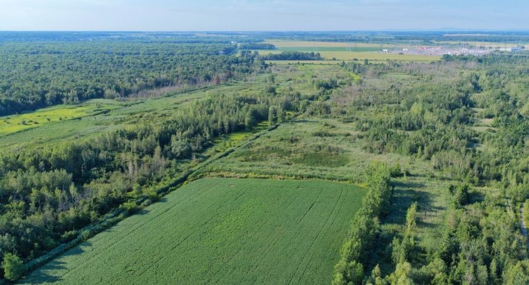 Brossard (Montérégie) : Terre agricole et à bois