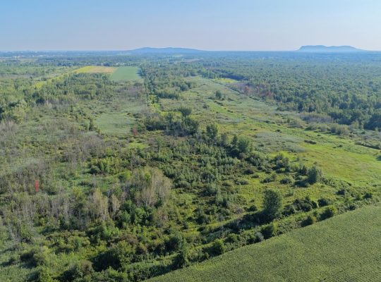 Brossard (Montérégie) : Terre agricole et à bois