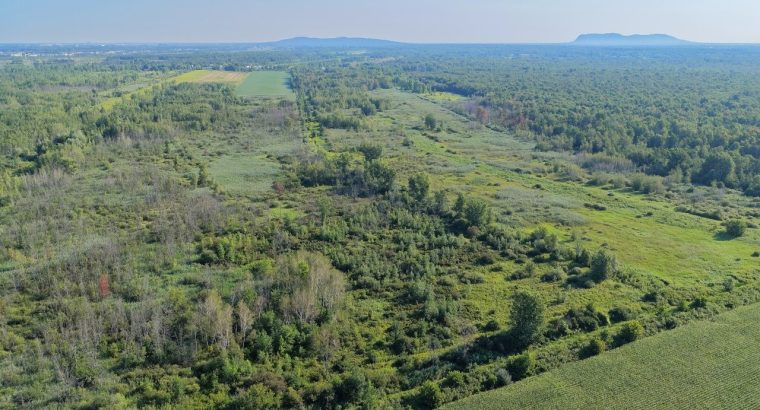 Brossard (Montérégie) : Terre agricole et à bois