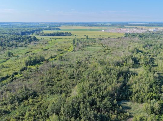 Brossard (Montérégie) : Terre agricole et à bois
