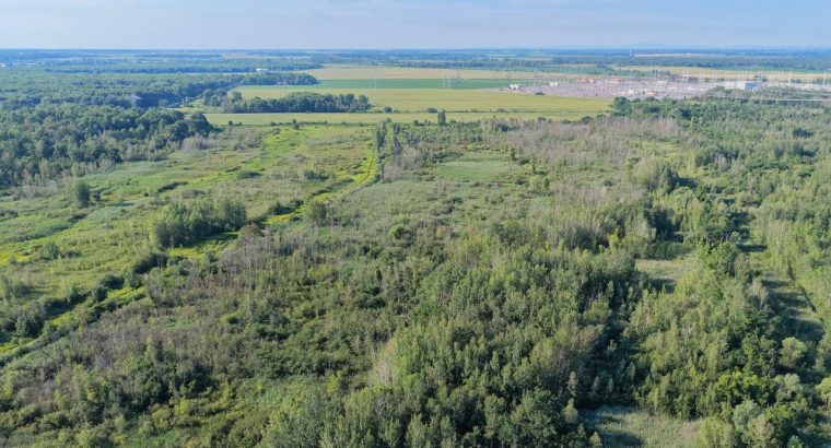 Brossard (Montérégie) : Terre agricole et à bois