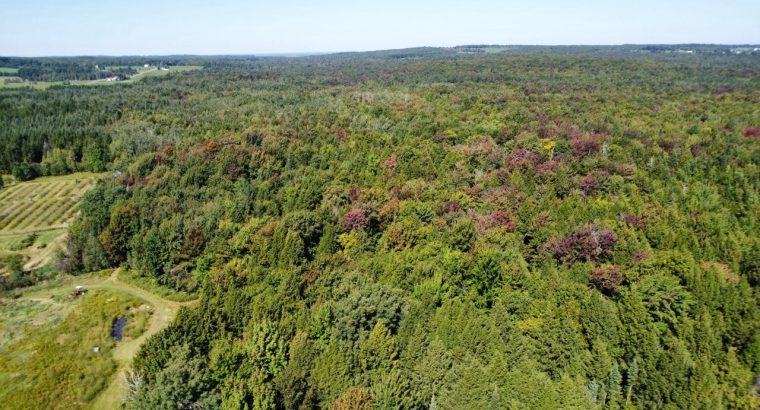 Inverness (Centre-du-Québec) : Terre de 34 acres