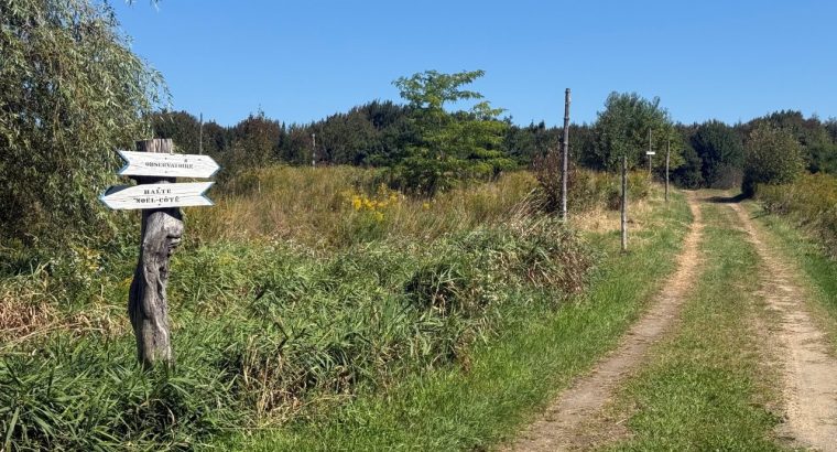 Inverness (Centre-du-Québec) : Terre de 34 acres