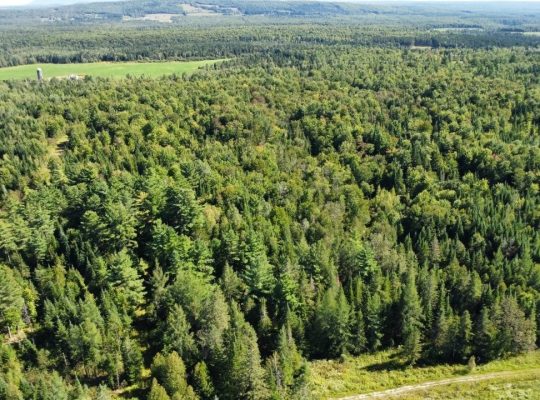 Weedon (Estrie) : Domaine équestre de 71 acres