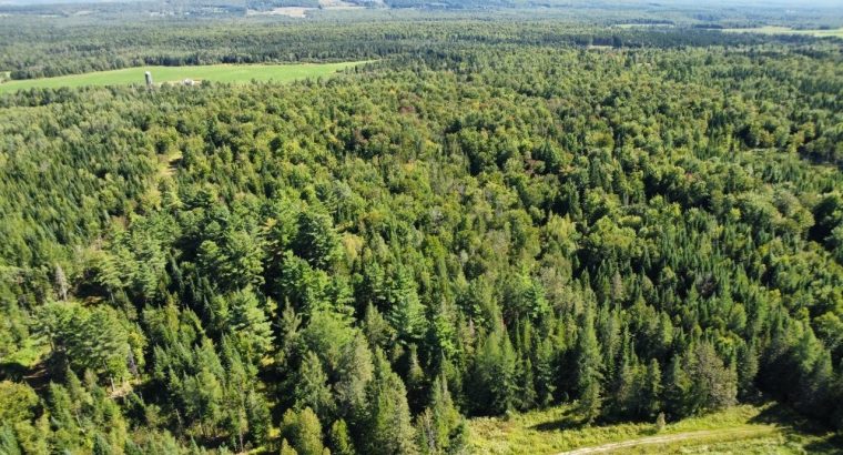 Weedon (Estrie) : Domaine équestre de 71 acres