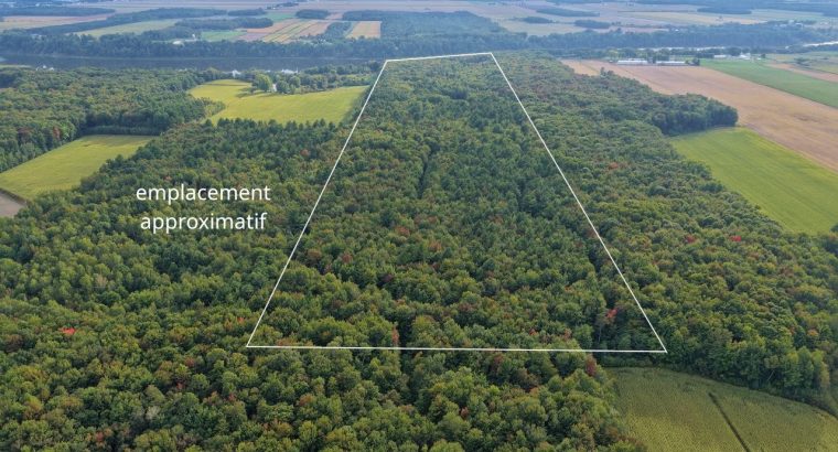 St-Elphège : Domaine de 76 acres, divers bâtiments