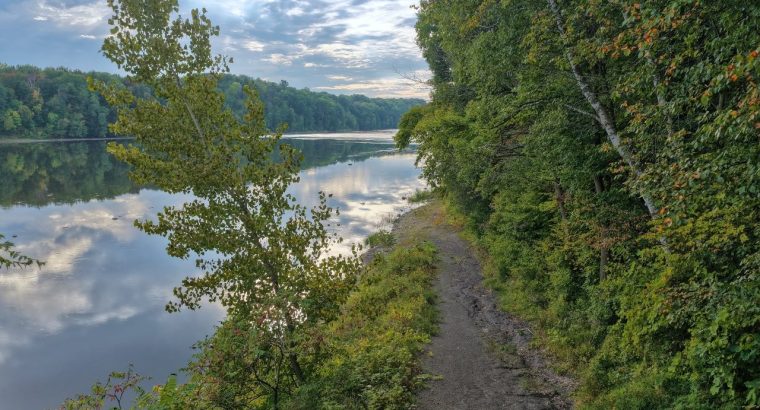St-Elphège : Domaine de 76 acres, divers bâtiments