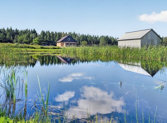Bury (Estrie):Fermette 38,42 acr maison 3 chambres