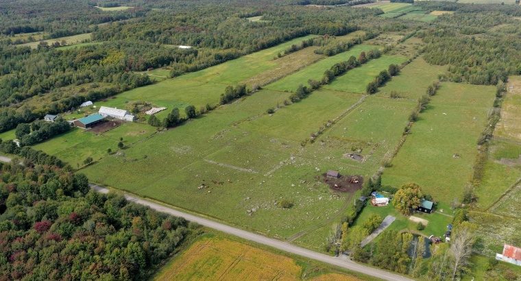 Roxton (Montérégie) : Ferme 244 acres, étable