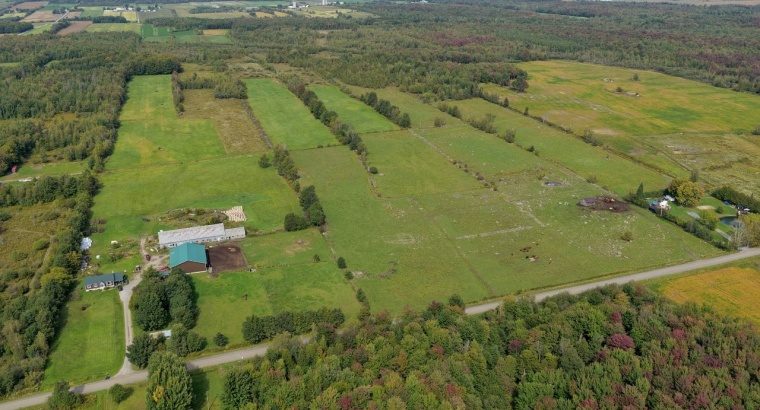 Roxton (Montérégie) : Ferme 244 acres, étable