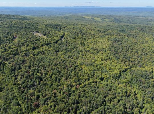 Chartierville (Estrie)Terre à bois de 69sc Z Blanc