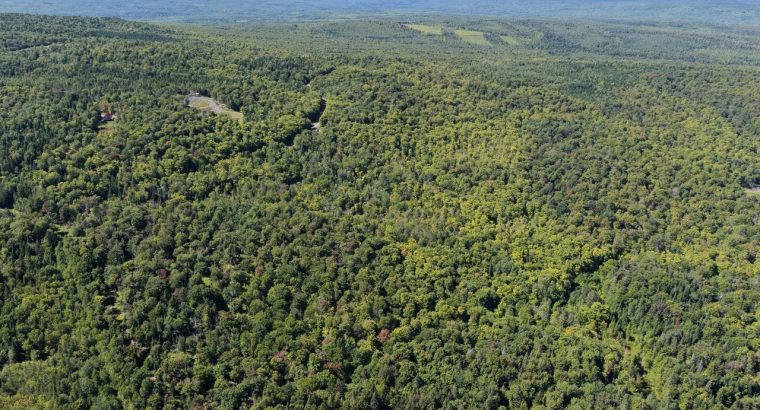 Chartierville (Estrie)Terre à bois de 69sc Z Blanc