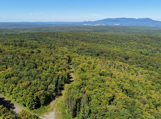 Chartierville (Estrie)Terre à bois de 69sc Z Blanc