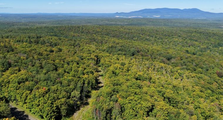Chartierville (Estrie)Terre à bois de 69sc Z Blanc