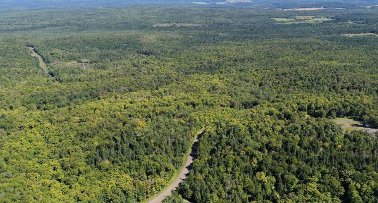 Chartierville (Estrie)Terre à bois de 69sc Z Blanc