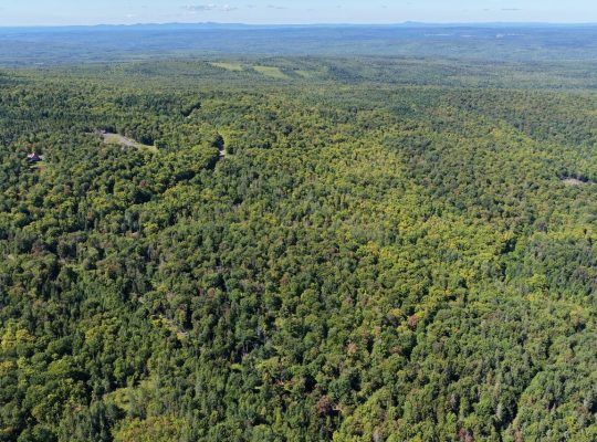 Chartierville (Estrie)Terre à bois de 69sc Z Blanc
