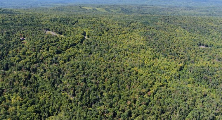 Chartierville (Estrie)Terre à bois de 69sc Z Blanc