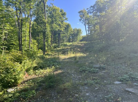 Chartierville (Estrie)Terre à bois de 69sc Z Blanc