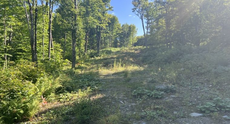 Chartierville (Estrie)Terre à bois de 69sc Z Blanc