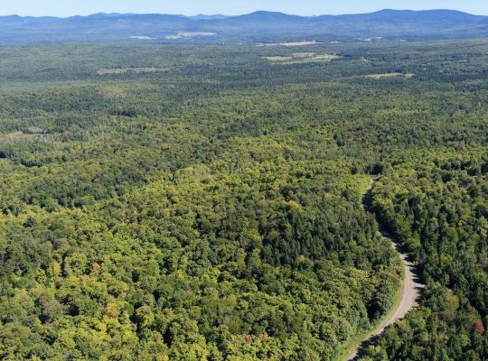 Chartierville (Estrie)Terre à bois de 69sc Z Blanc