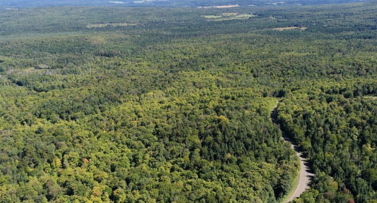 Chartierville (Estrie)Terre à bois de 69sc Z Blanc
