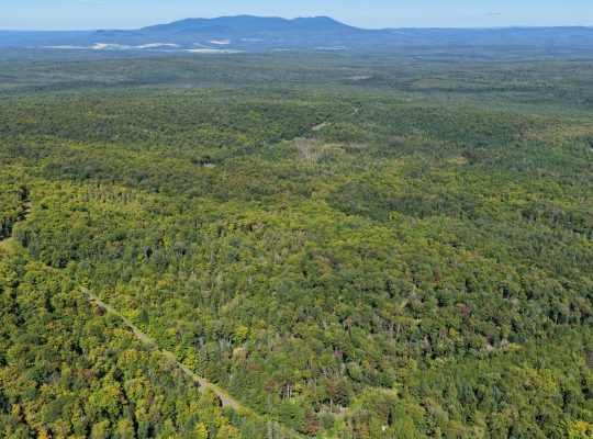 Chartierville (Estrie)Terre à bois de 69sc Z Blanc