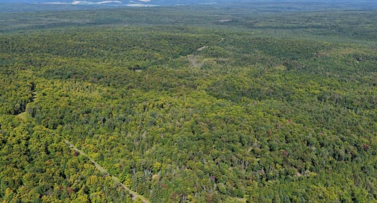 Chartierville (Estrie)Terre à bois de 69sc Z Blanc