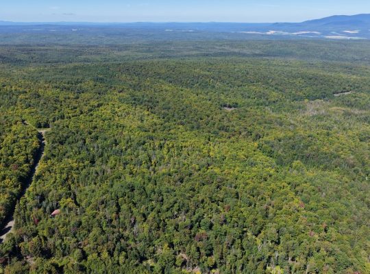 Chartierville (Estrie)Terre à bois de 69sc Z Blanc