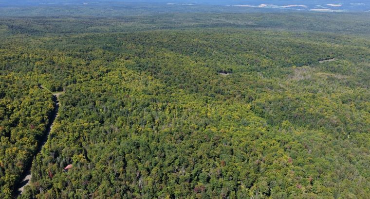 Chartierville (Estrie)Terre à bois de 69sc Z Blanc