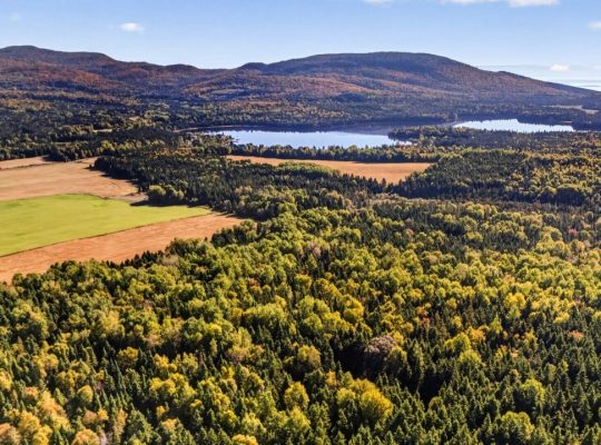 St-Tite-des-Caps (Cap.-Natl) : Terre à bois 109 ac