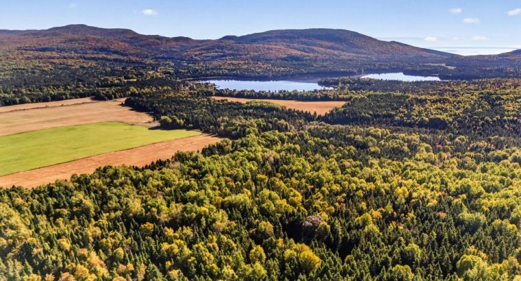 St-Tite-des-Caps (Cap.-Natl) : Terre à bois 109 ac