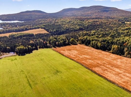 St-Tite-des-Caps (Cap.-Natl) : Terre à bois 109 ac