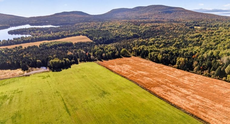 St-Tite-des-Caps (Cap.-Natl) : Terre à bois 109 ac
