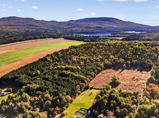 St-Tite-des-Caps (Cap.-Natl) : Terre à bois 109 ac