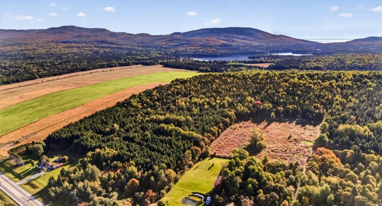 St-Tite-des-Caps (Cap.-Natl) : Terre à bois 109 ac